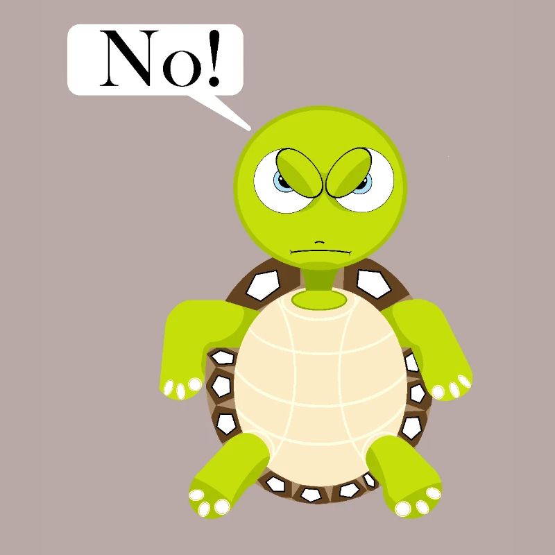 Statement No Turtle, No Fun Comic, No