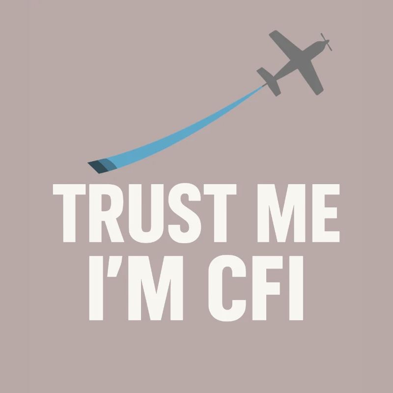 Flight Instructor Cfi Pilot Aviation Instructor