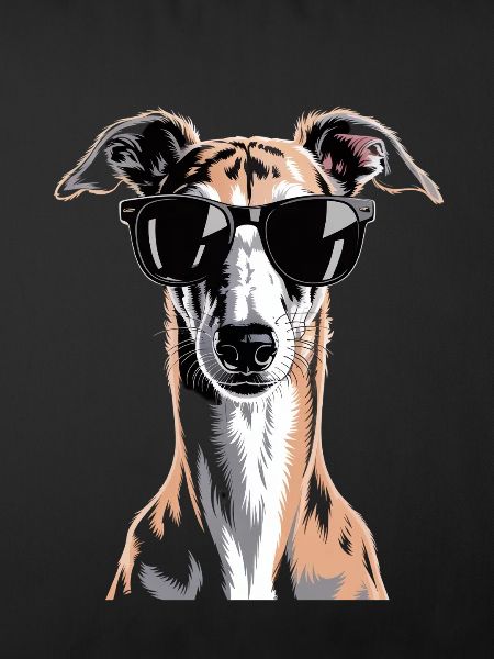 Greyhound Windhund