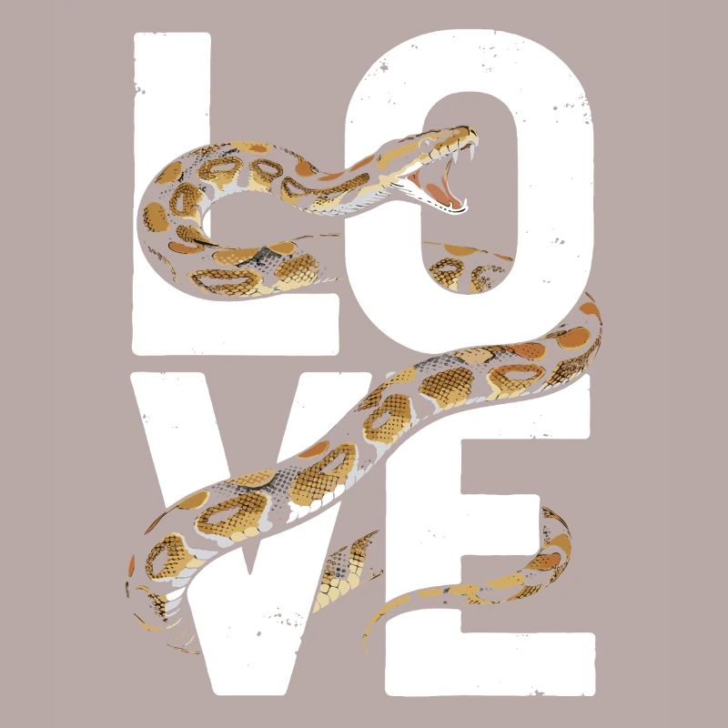 Les serpents rois Python ADORENT les pythons de terrarium