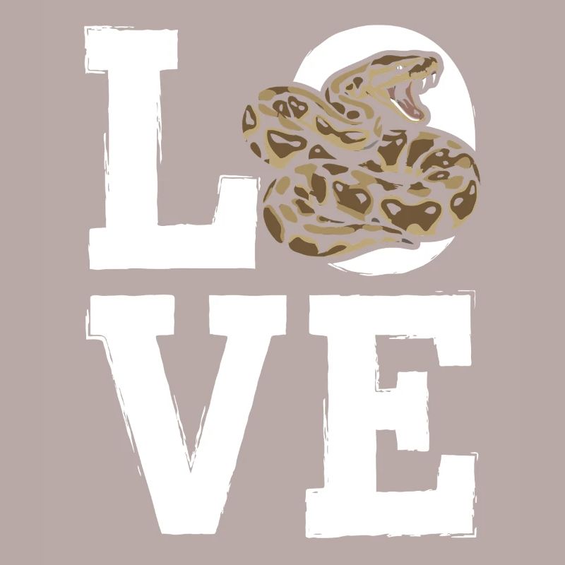 Les serpents rois Python ADORENT les pythons de terrarium