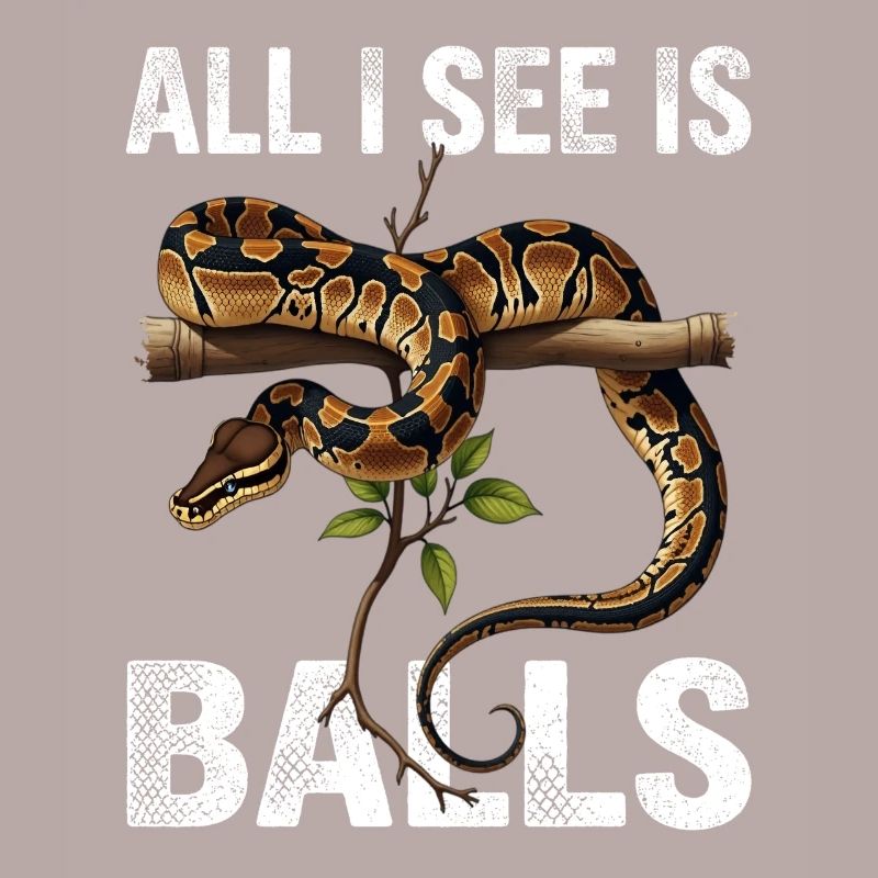 Python roi Serpents Amateurs de terrarium Python
