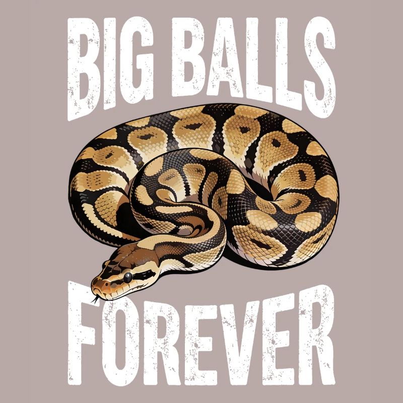 Python roi Serpents Amateurs de terrarium Python