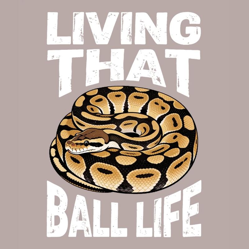 Python roi Serpents Amateurs de terrarium Python