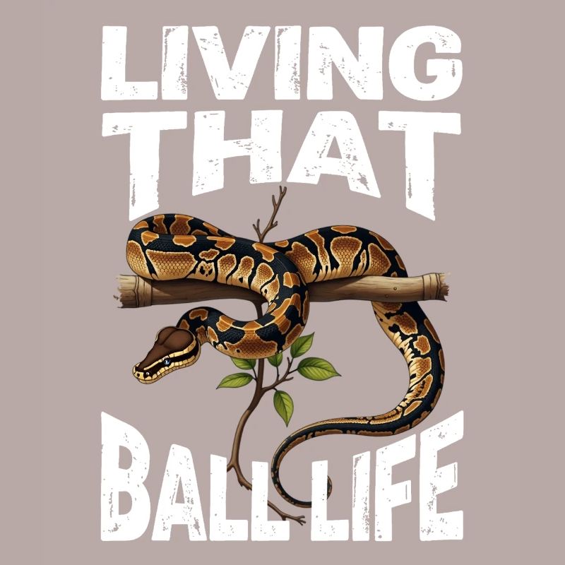 Python roi Serpents Amateurs de terrarium Python