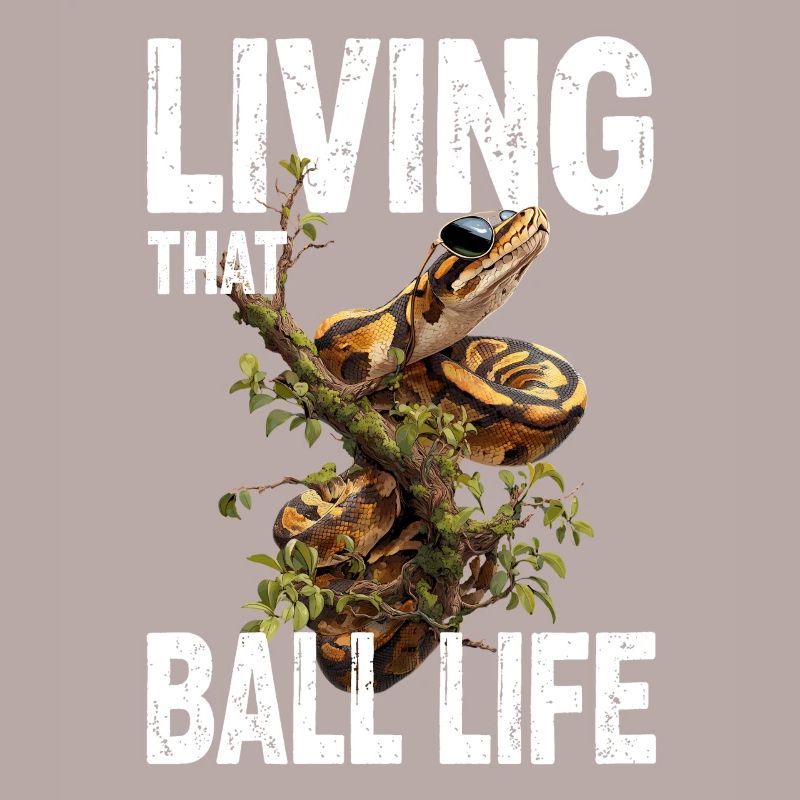 Königspython Schlangen Liebhaber Terrarium Python