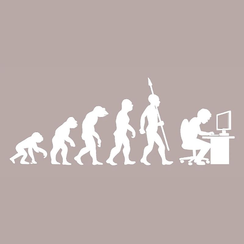 Informatique PC Evolution Programmeur Informatien