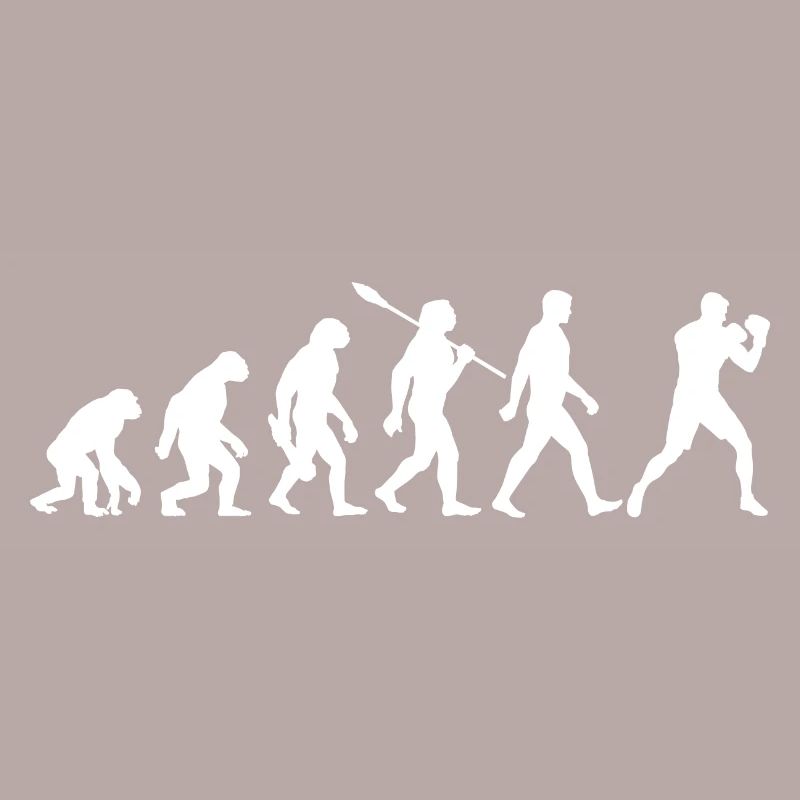 Evolution - Boxing, Martial Arts, Boxing Training