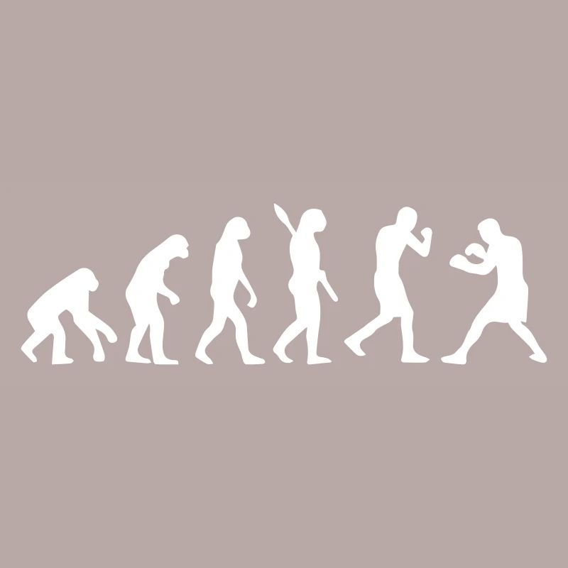 Evolution Boxing