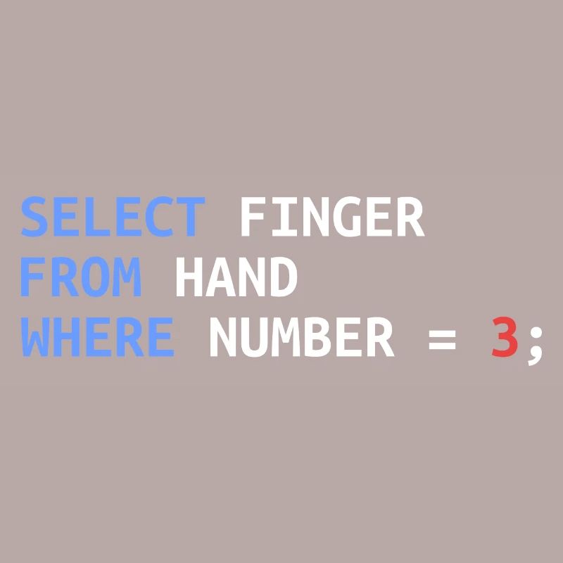 Mittelfinger Select SQL Entwickler Lustig Geschenk