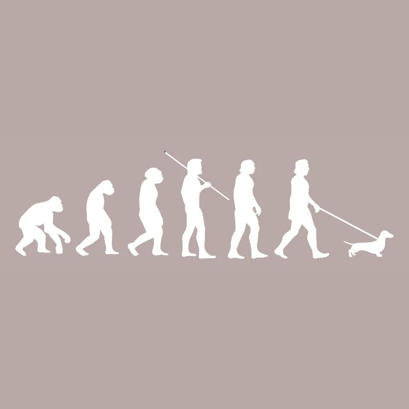 Idée cadeau teckel évolution teckel teckel