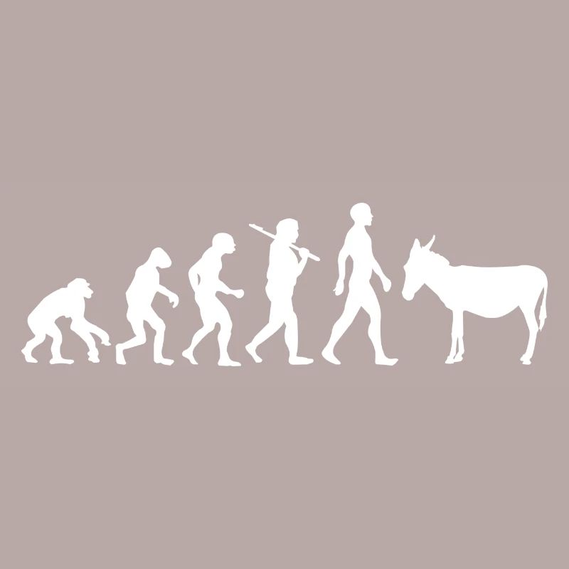 Evolution âne mule animal cadeau idée