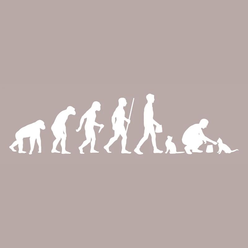 Evolution Cat Cat Ejer Cat Ejer