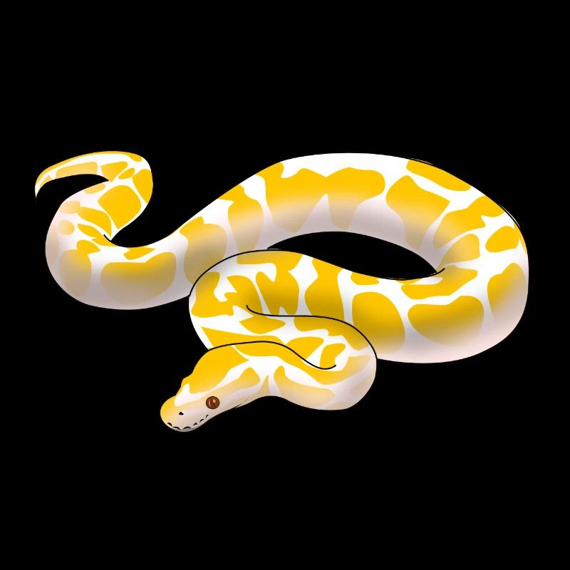 Albino ball python Python regius ballpython motif