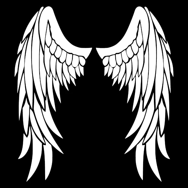 ailes d'anges