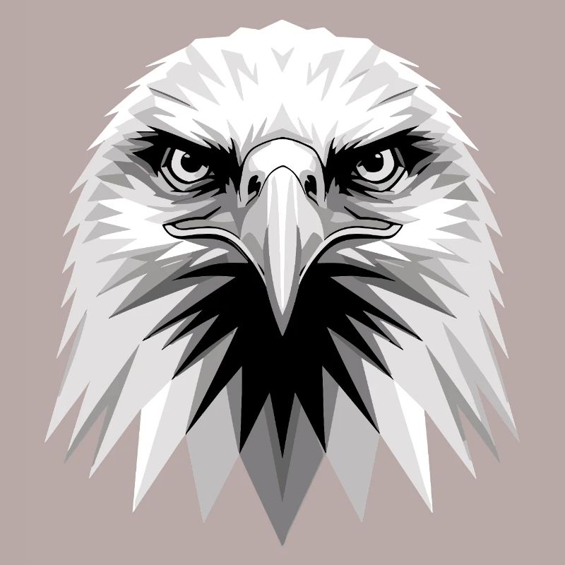 Eagle Bald Eagle Golden Eagle White-tailed Eagle