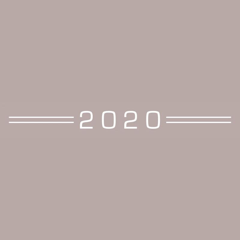 Dash de l'année 2020