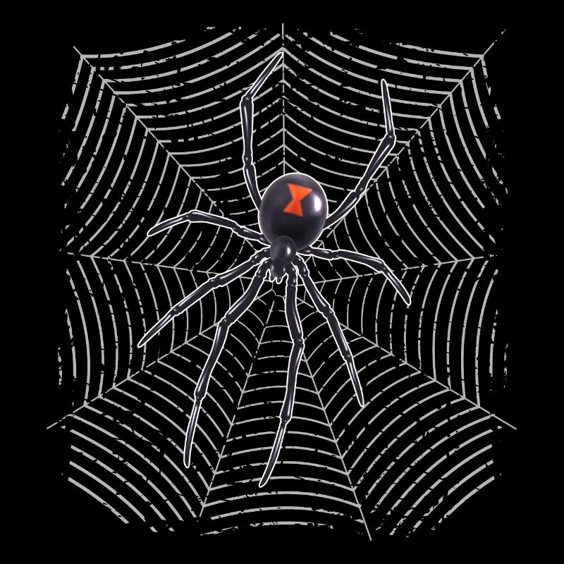 Spider on the web