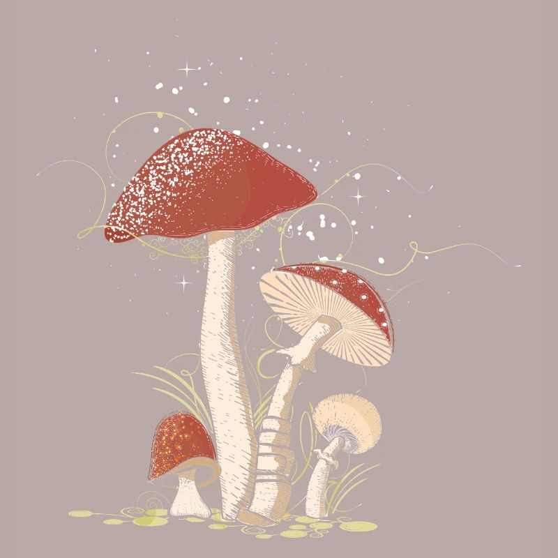 Magical toadstools in the forest illustrated