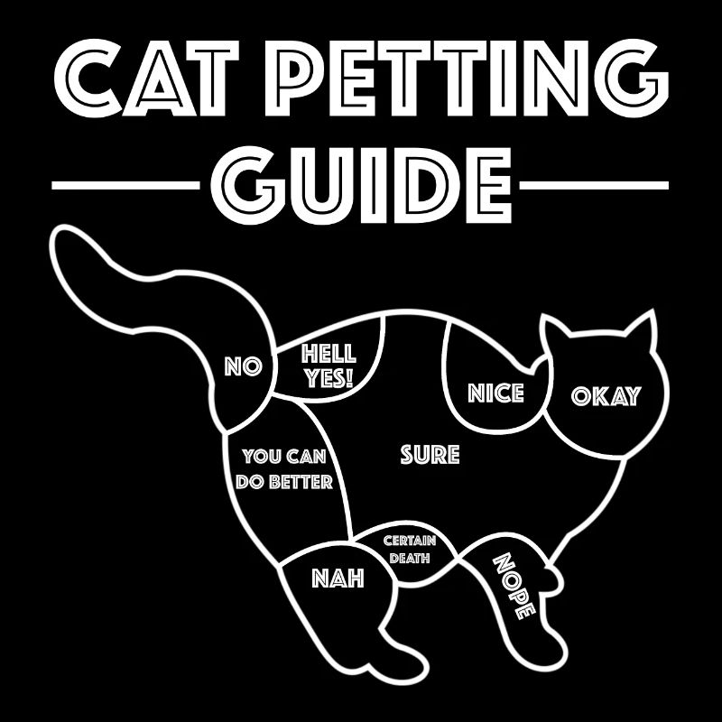 Instructions pour les caresses de chat | Chat, caresses, amusement