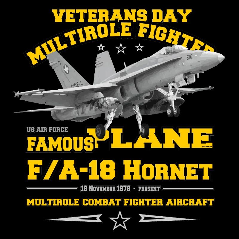 F18 Hornet Air force veterans