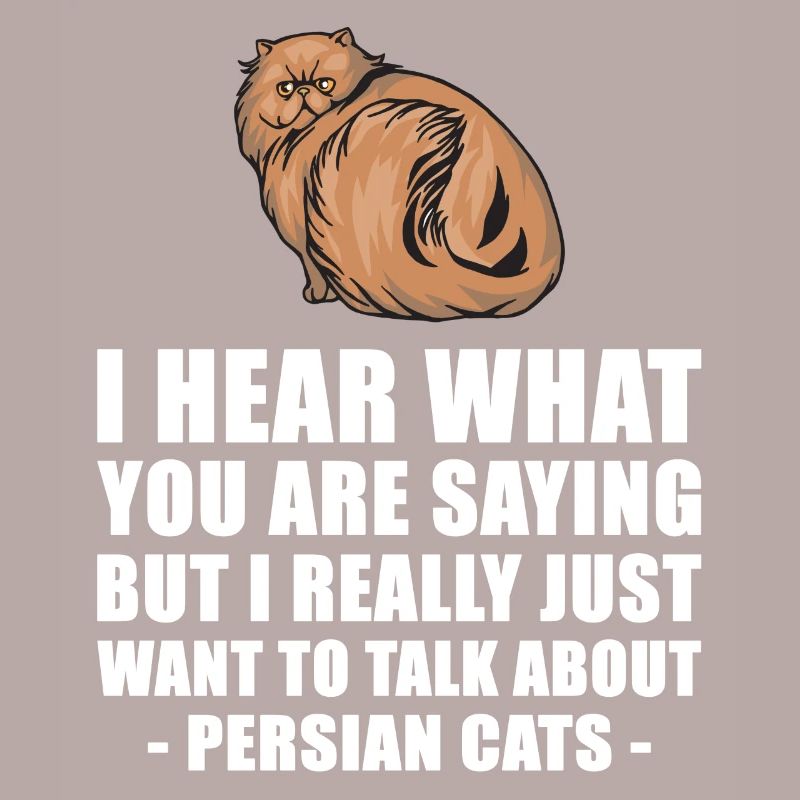Chat persan mignon cadeau