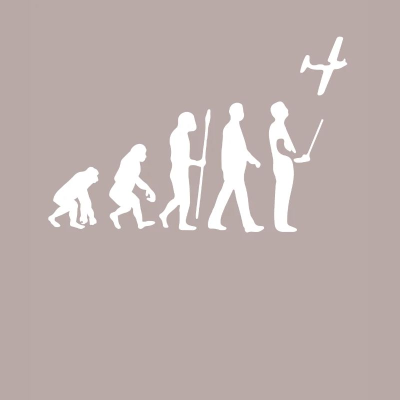 Evolution du modèle de vol