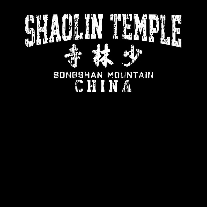 Arts martiaux du temple de Shaolin en Chine