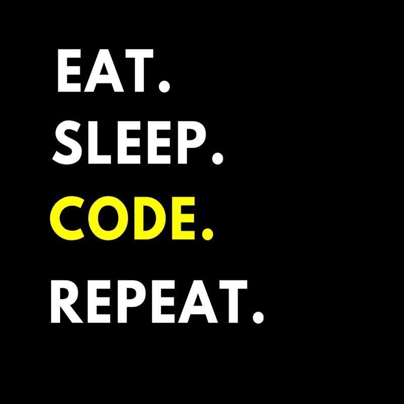 programmeur