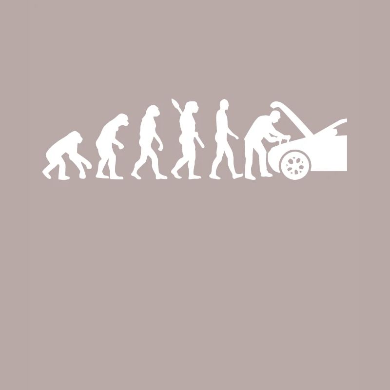 Mechatronics Engineer Evolution