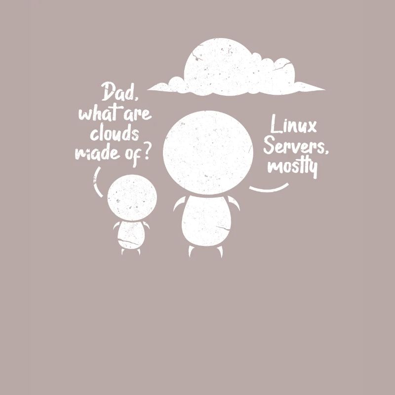 Softwareentwickler Programmierer Software Linux