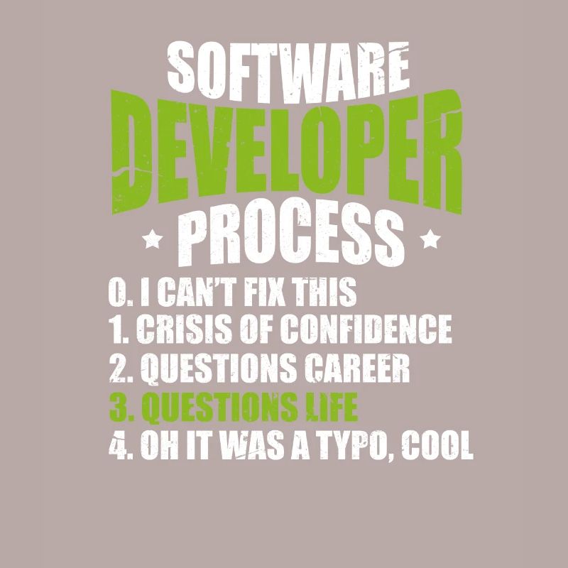 Software developer programmer software
