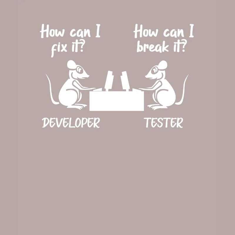 Software developer programmer software