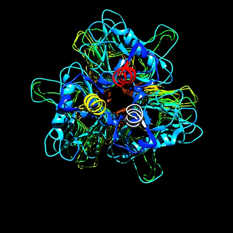 Native Tailspike Protein Molécule Bactériophage