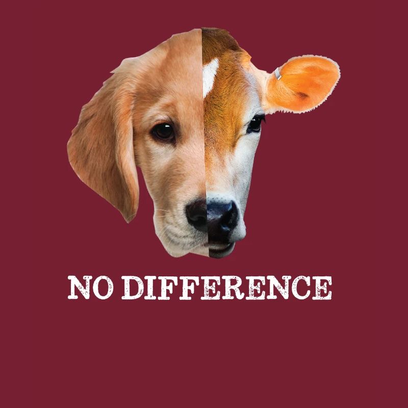 No difference Vegan