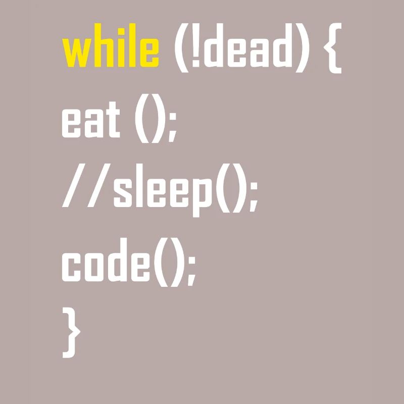 Cadeau de programmation programmeur