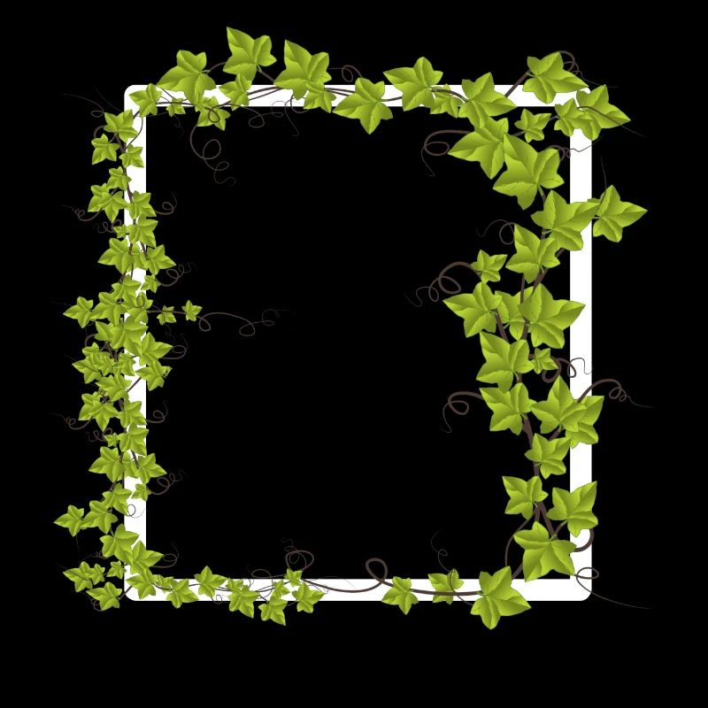 Rahmen mit Efeu Deko