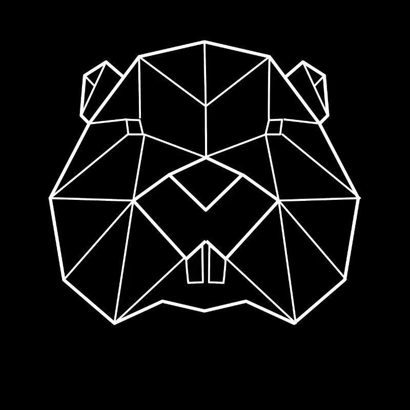 Biber Polygon