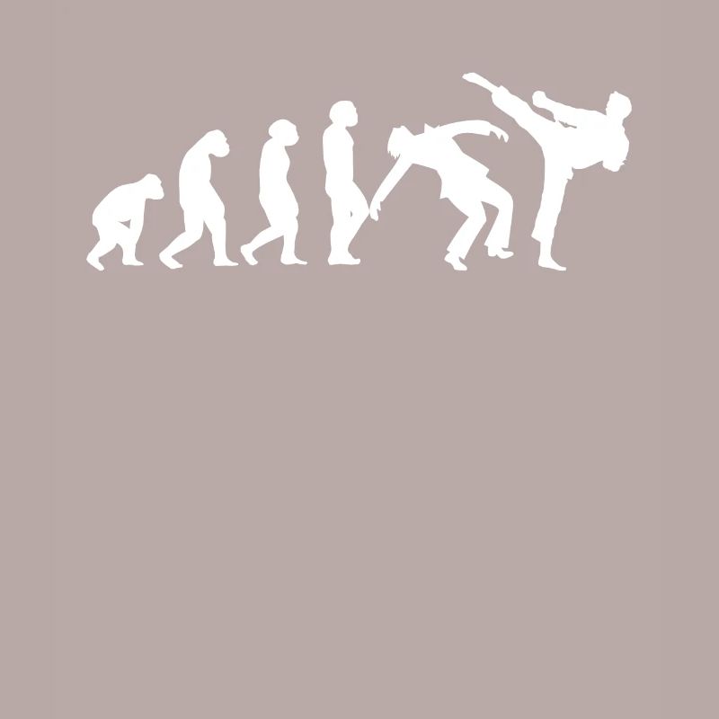 Evolution Taekwondo Karate Aikido Kickboxing
