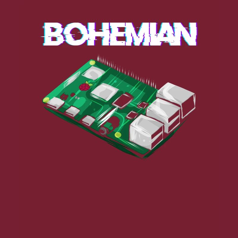 Programmeur informaticien Bohemian Raspberry Pi