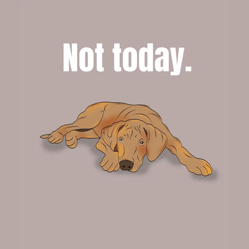 Rhodesian Ridgeback Gift