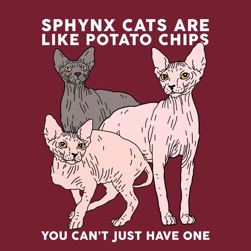 Sphynx Cats Sphinx | Cat Owner Gift