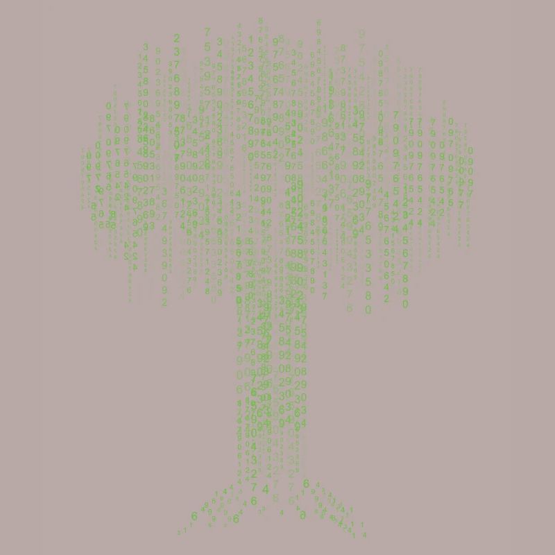 Binary Tree Coding Computer Programmer Developers