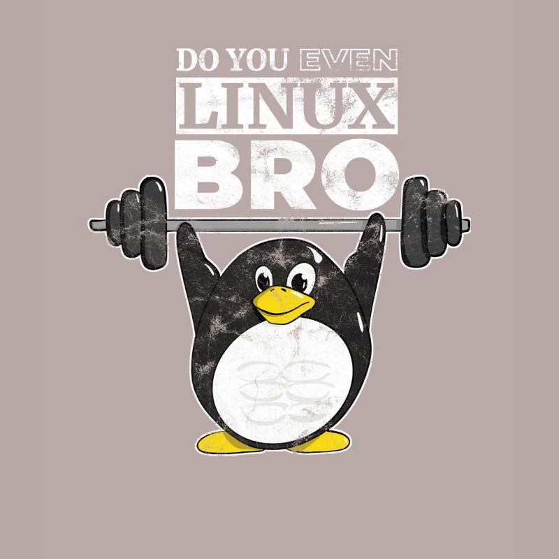 Do You Even Linux Bro Linux Pinguin hebt Gewichte