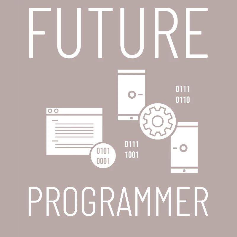 Programmeur Programmation Ordinateur Développeur Pc