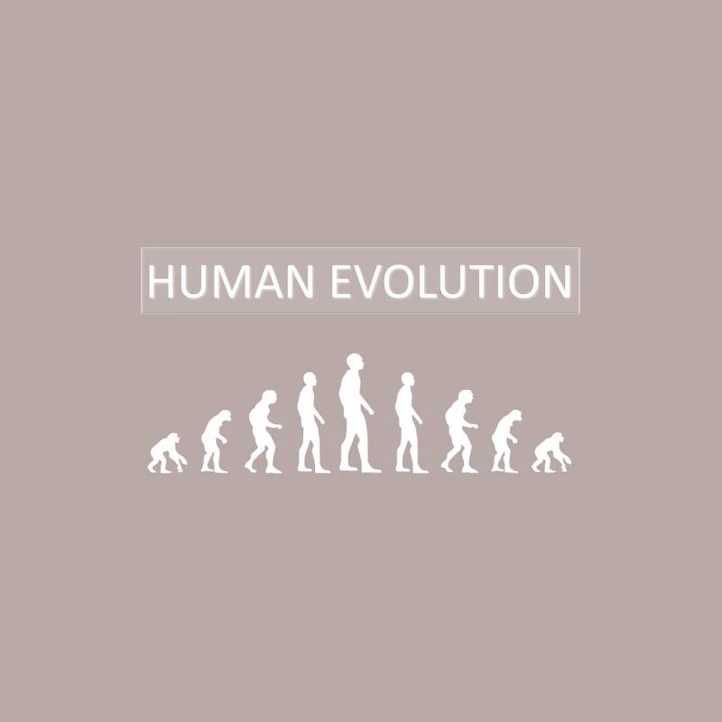 Human Evolution Funny