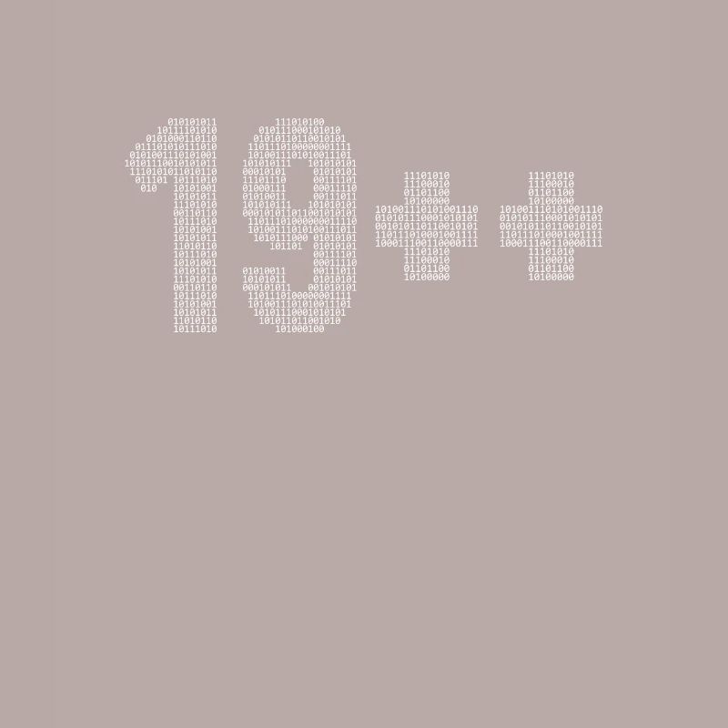 19++ Programmeur Ingénieur logiciel Codeur 20e