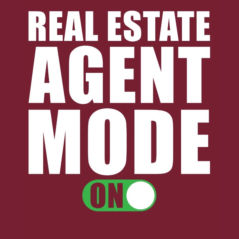 Mode Agent immobilier activé