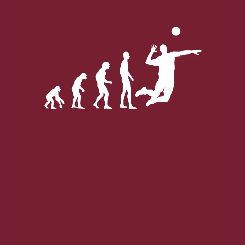 Évolution du volleyball