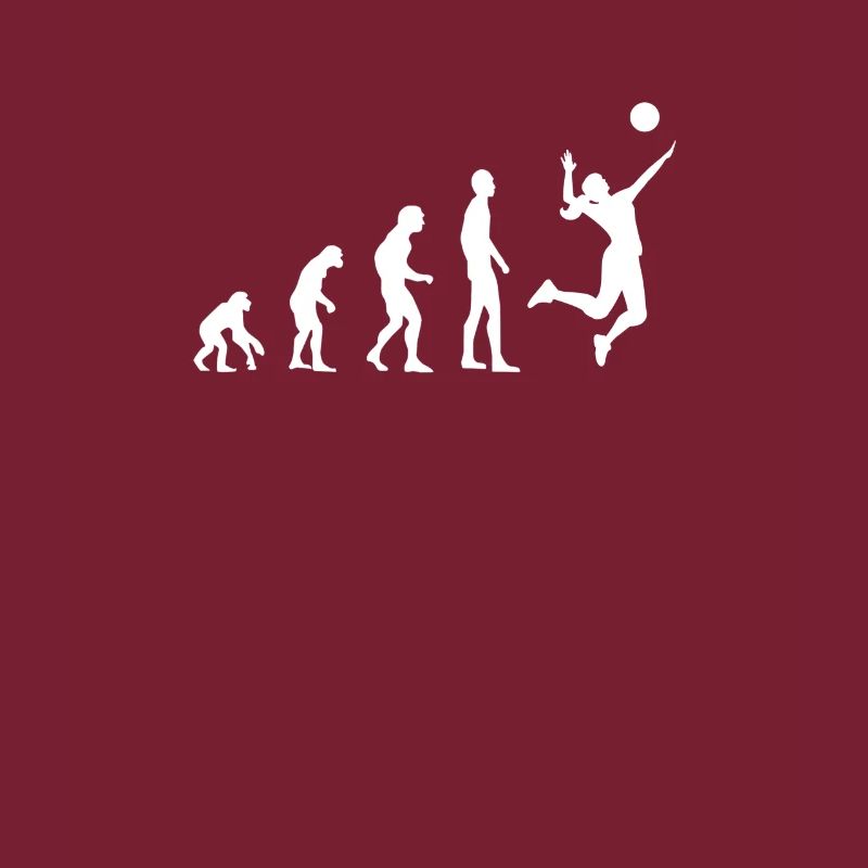 Évolution du volleyball